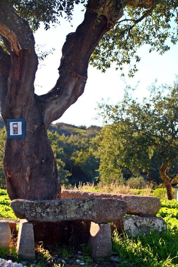 Quinta Da Utopia Castelo de Vide Buitenkant foto