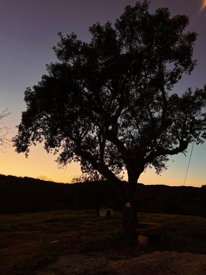 Quinta Da Utopia Castelo de Vide Buitenkant foto