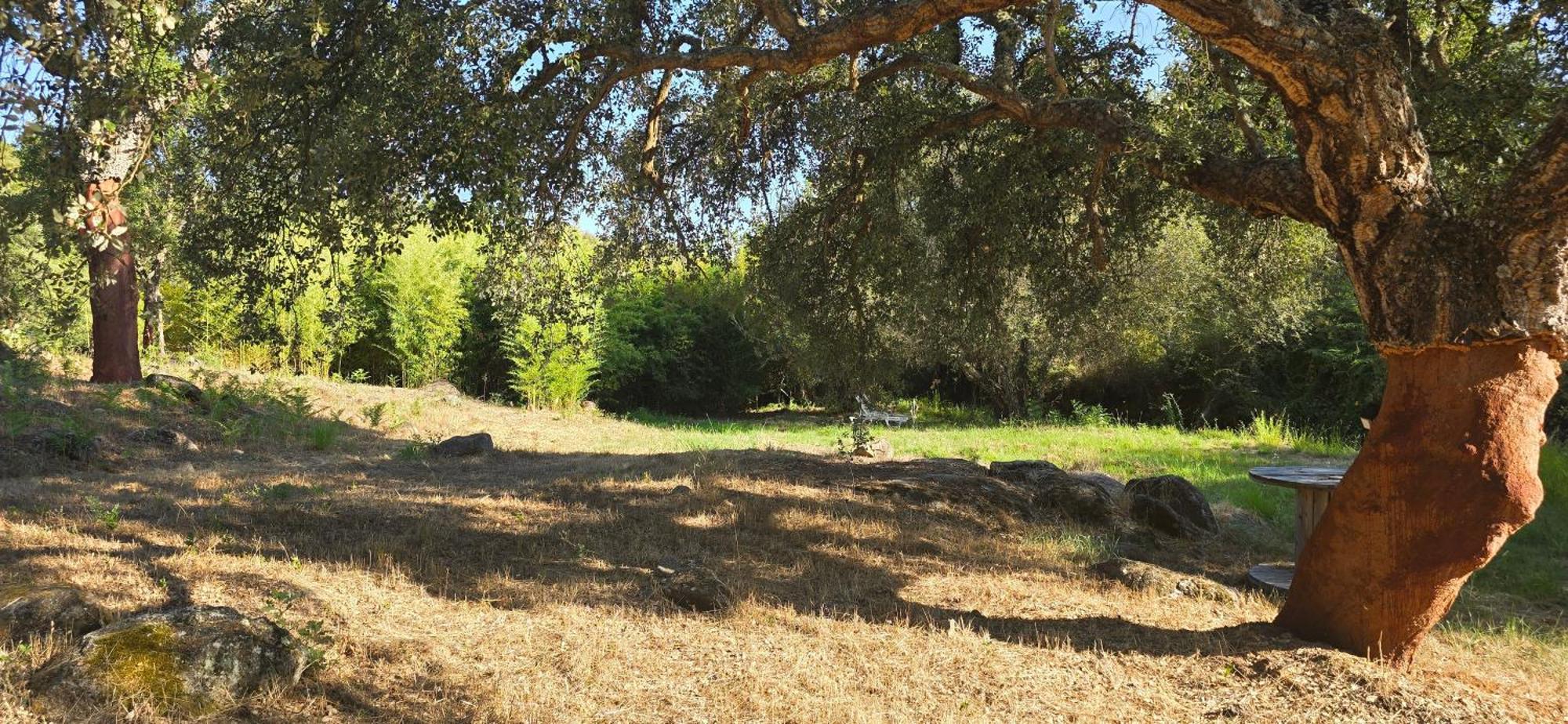 Quinta Da Utopia Castelo de Vide Buitenkant foto